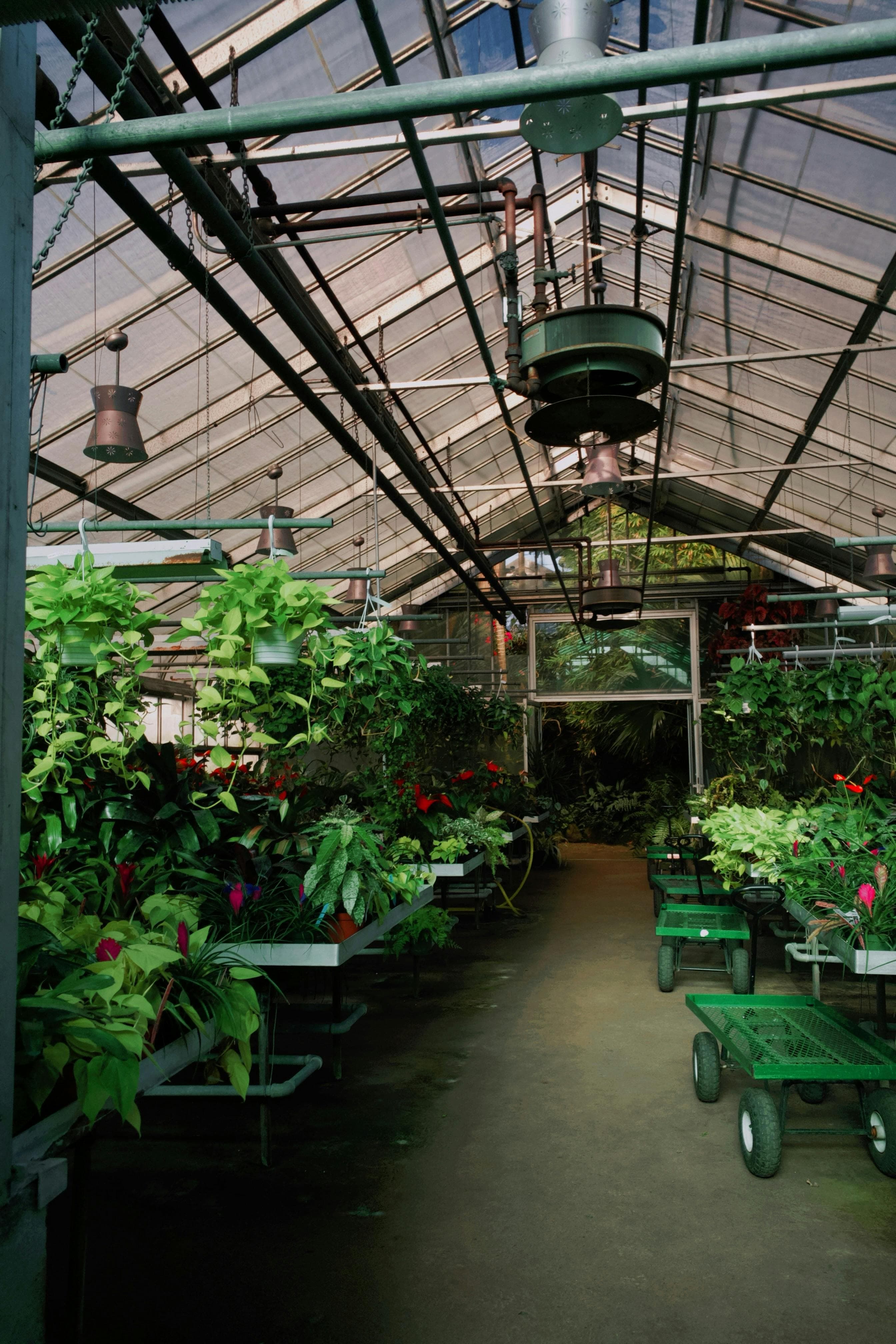 Hobi Bahçeciliğine Başlarken: Temel Bilgiler ve İpuçları