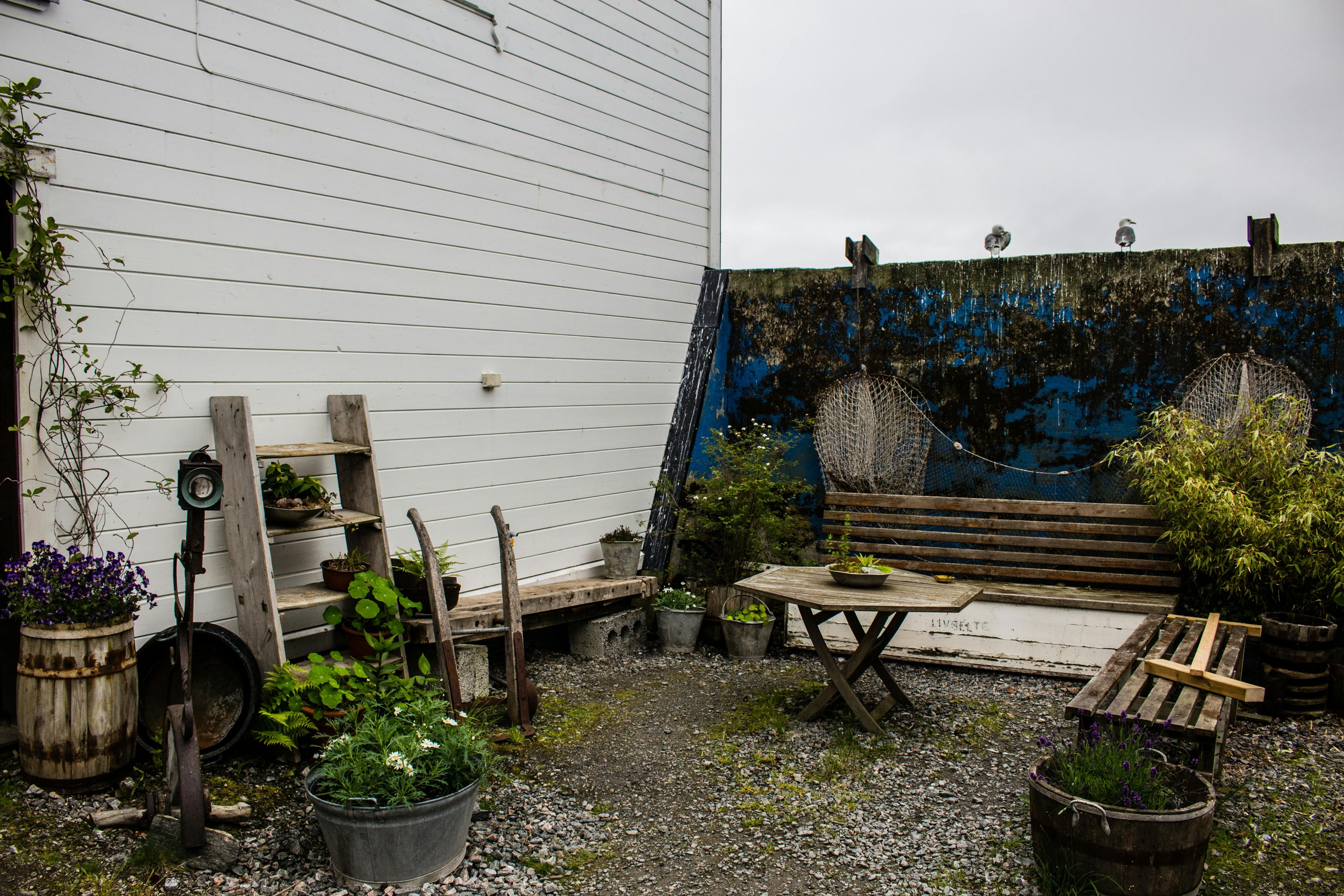 Küçük Bahçe Tarımı